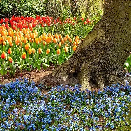 Kien Studio's 住宿加早餐酒店