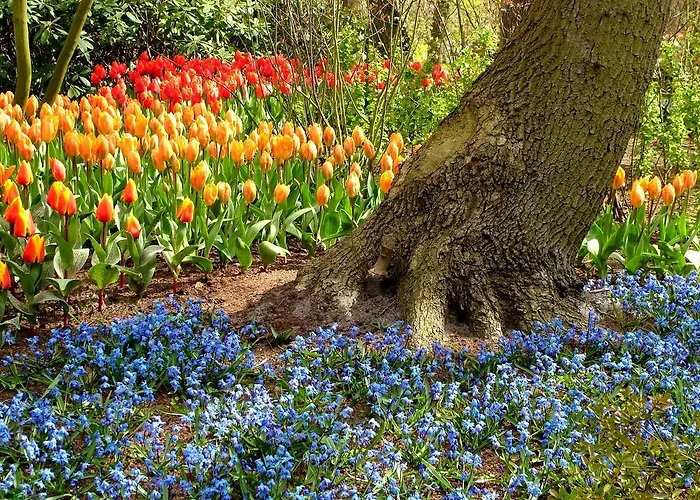 Kien Studio's Bed and breakfast